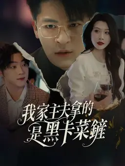 我家主夫拿的是黑卡菜铲